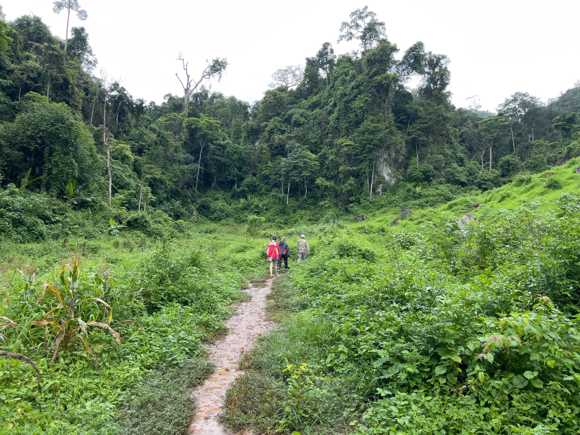Environmental impact study team reviewing oil and gas activities in a tropical jungle setting