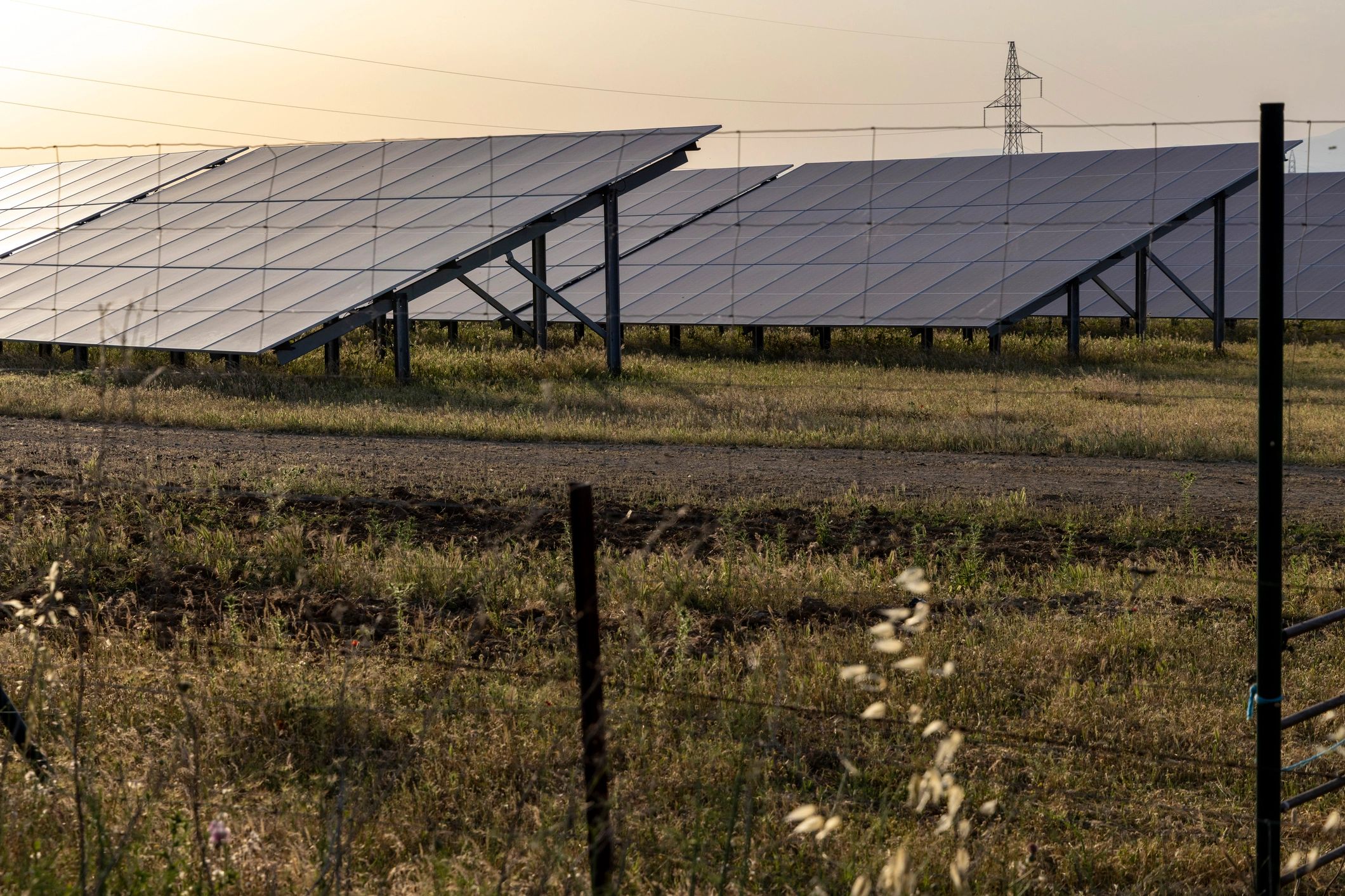 Solar panels producing clean energy on a utility farm